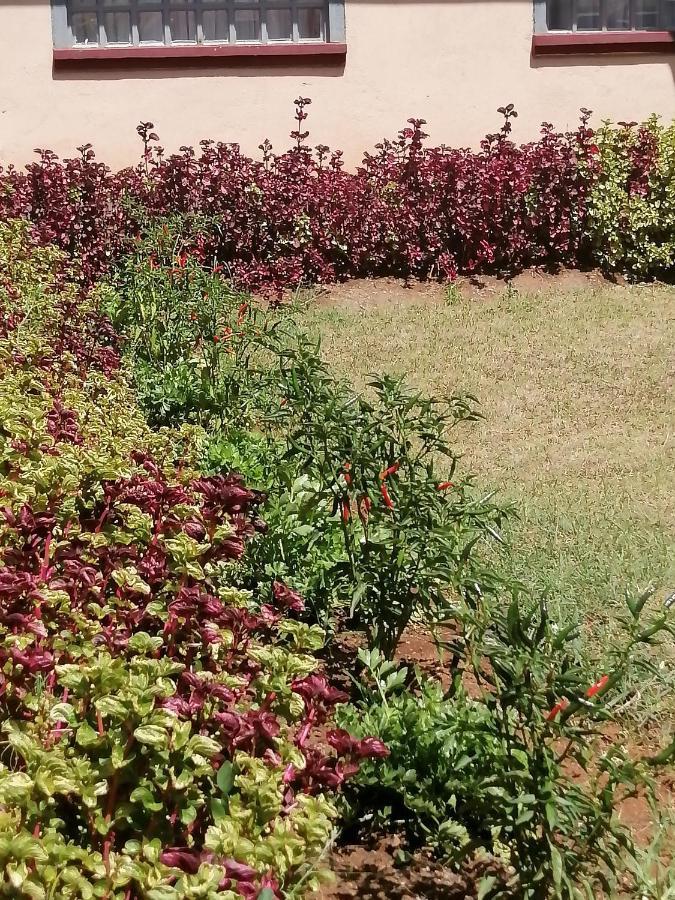 The Rhine Guest House - Eldoret Buitenkant foto
